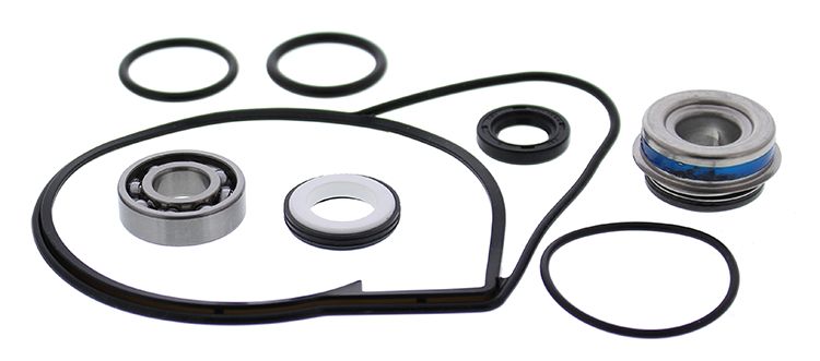 Water Pump Rebuild Kit WINDEROSA 721313