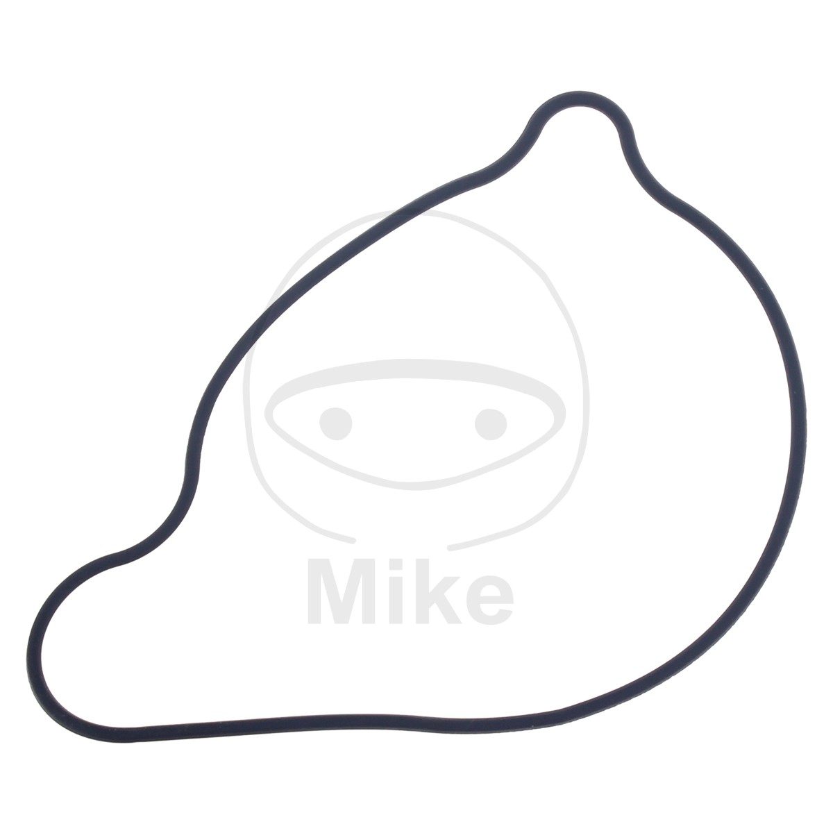 Water Pump Cover Gasket ATHENA S410485024015