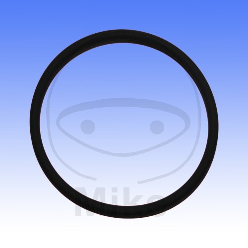 Brtva za ispuh ATHENA M753004950094 O-Ring 49.5X55X3 mm