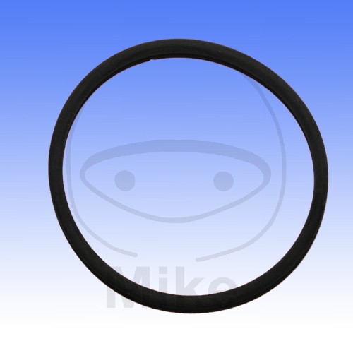 Brtva za ispuh ATHENA M753005400094 O-Ring 54X54X3 mm