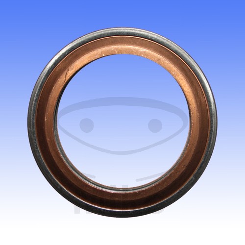Brtva za ispuh ATHENA S410485012026 37.5X52.9X7 mm