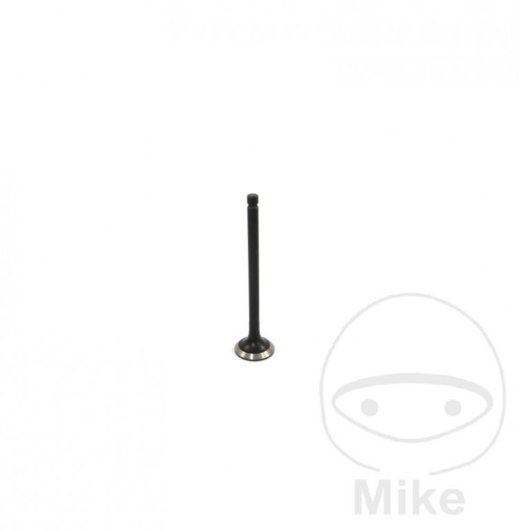 Exhaust valve JMT