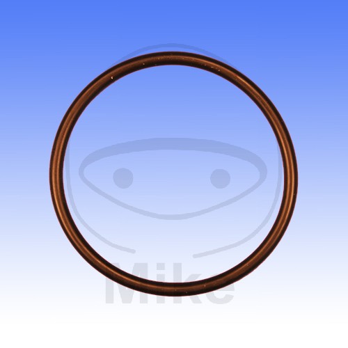 Valve cover gasket ATHENA M753004950004 O-Ring 3X49.5 mm
