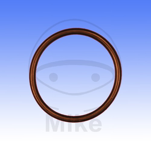 Valve cover gasket ATHENA M752503150004 2.5X31.5 mm