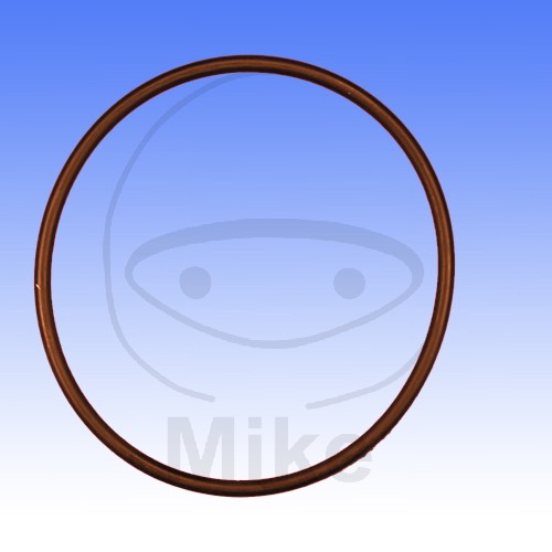Valve cover gasket ATHENA M753007000004 3X70 mm