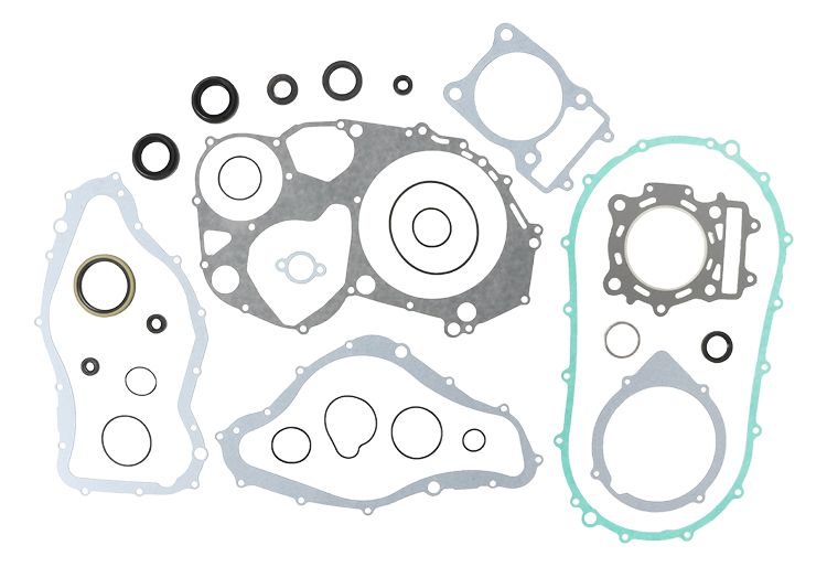 Complete Gasket Kit with Oil Seals WINDEROSA CGKOS 811839