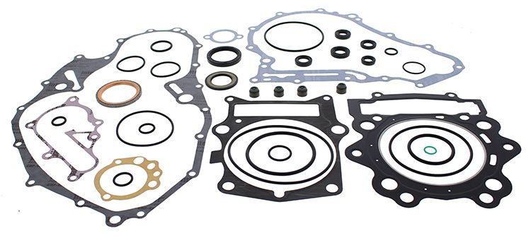 Complete Gasket Kit with Oil Seals WINDEROSA CGKOS 811974