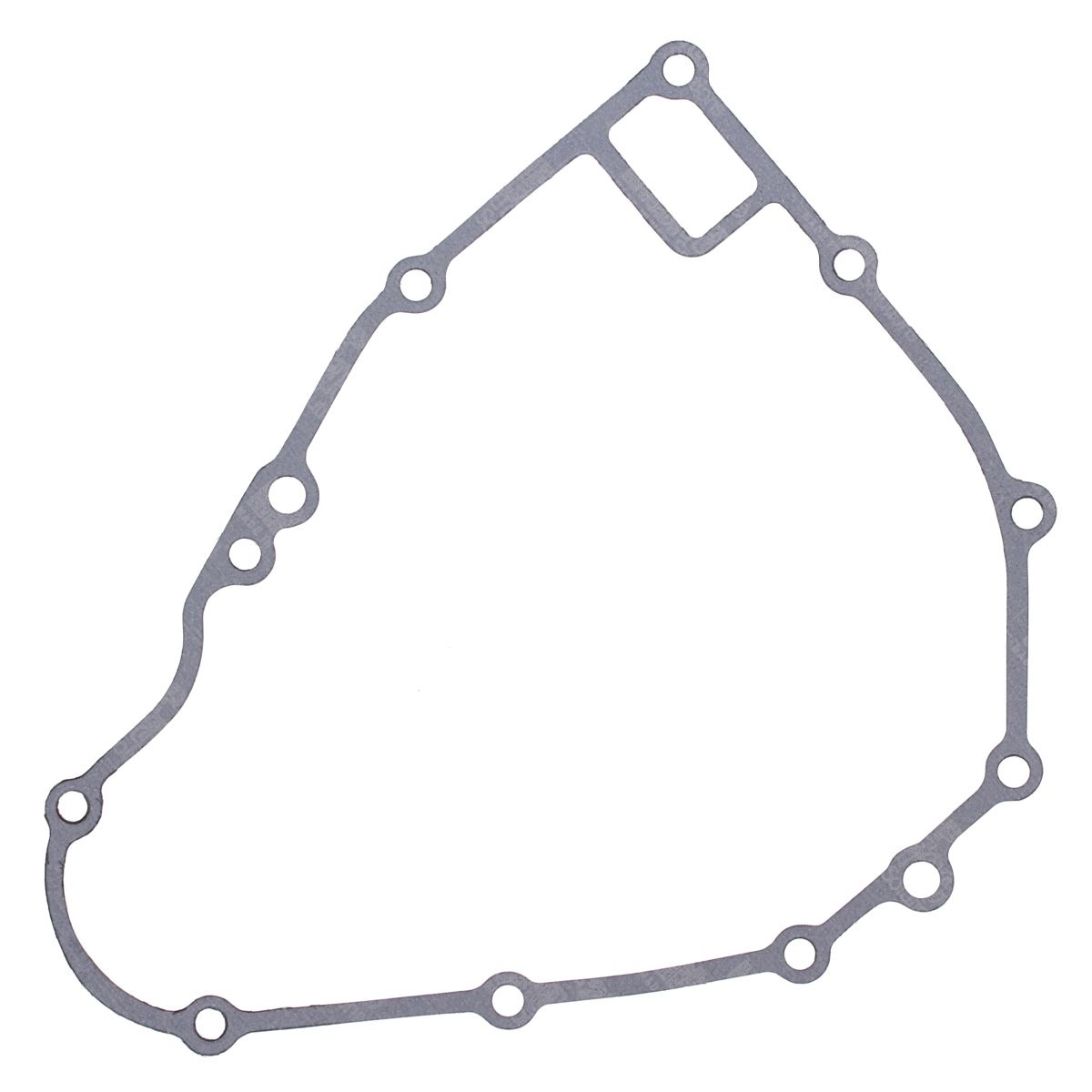 Ignition cover gasket WINDEROSA 816119