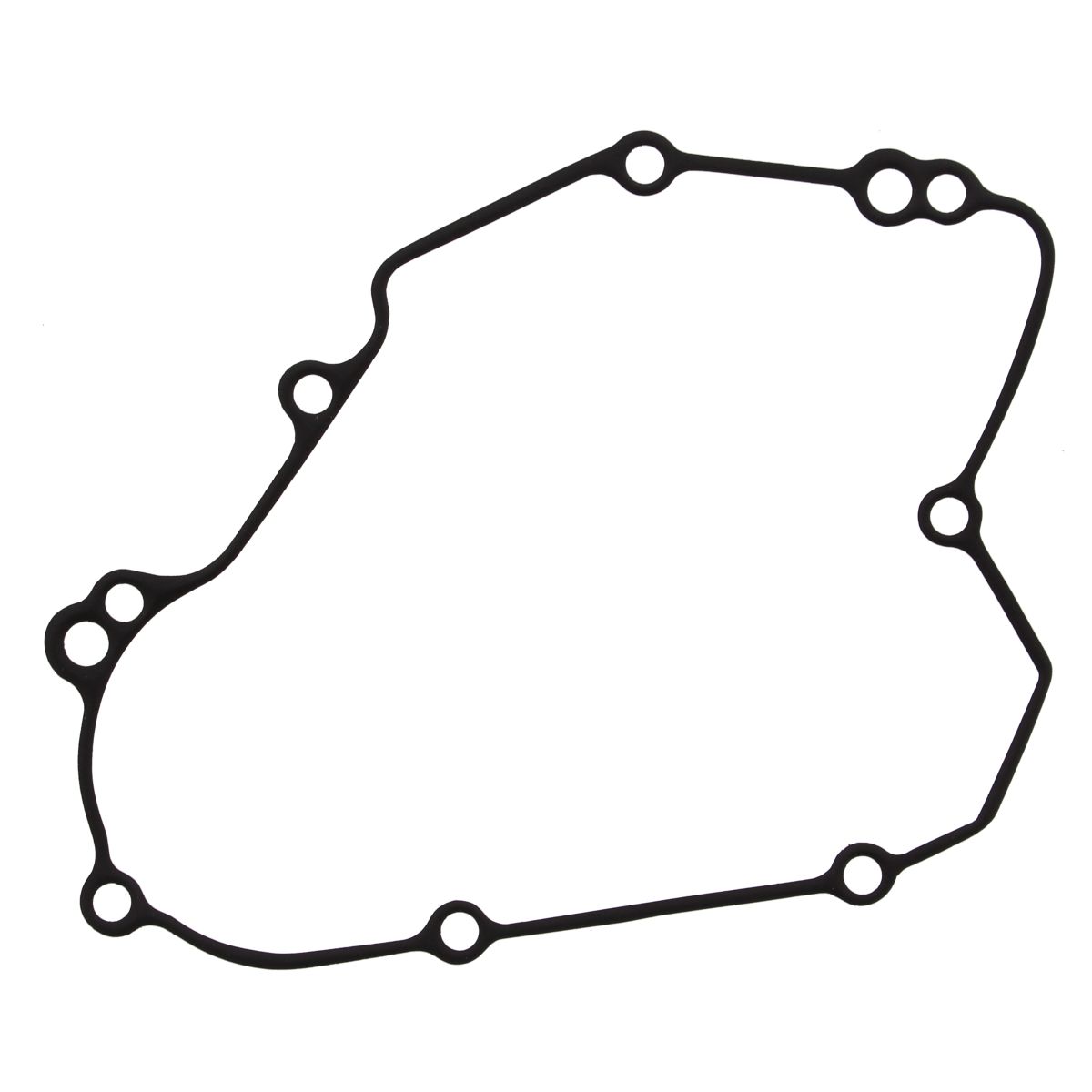 Ignition cover gasket WINDEROSA 816249