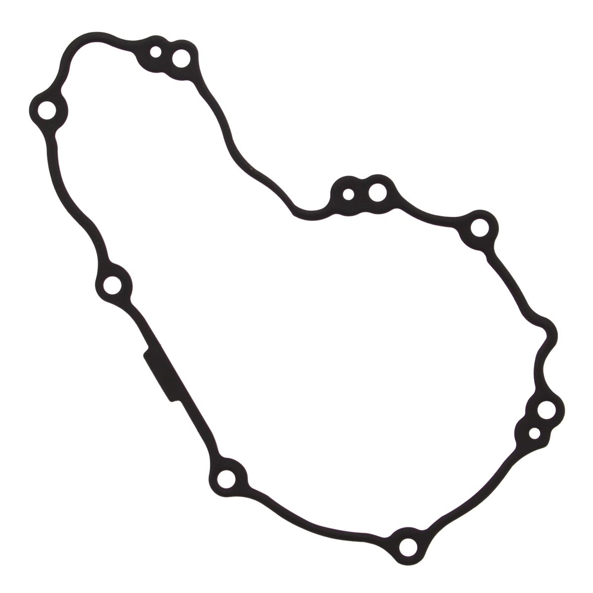 Ignition cover gasket WINDEROSA 816295