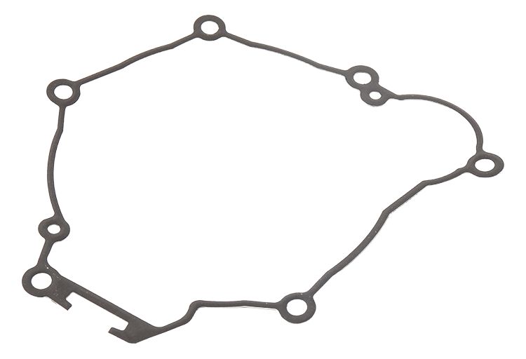 Ignition cover gasket WINDEROSA ICG 816318