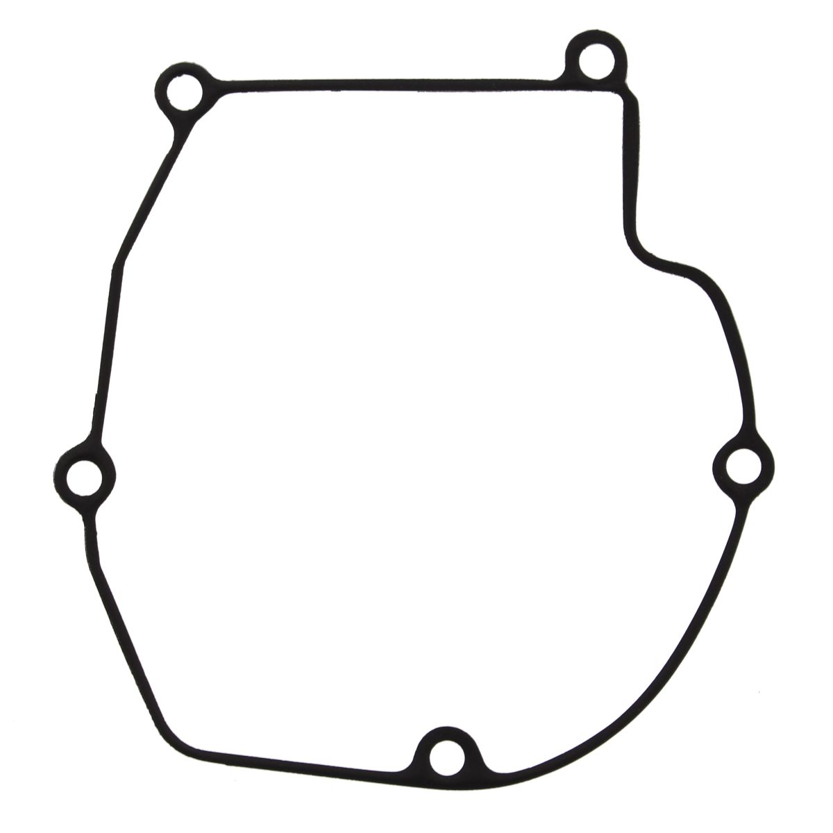 Ignition cover gasket WINDEROSA ICG 816546