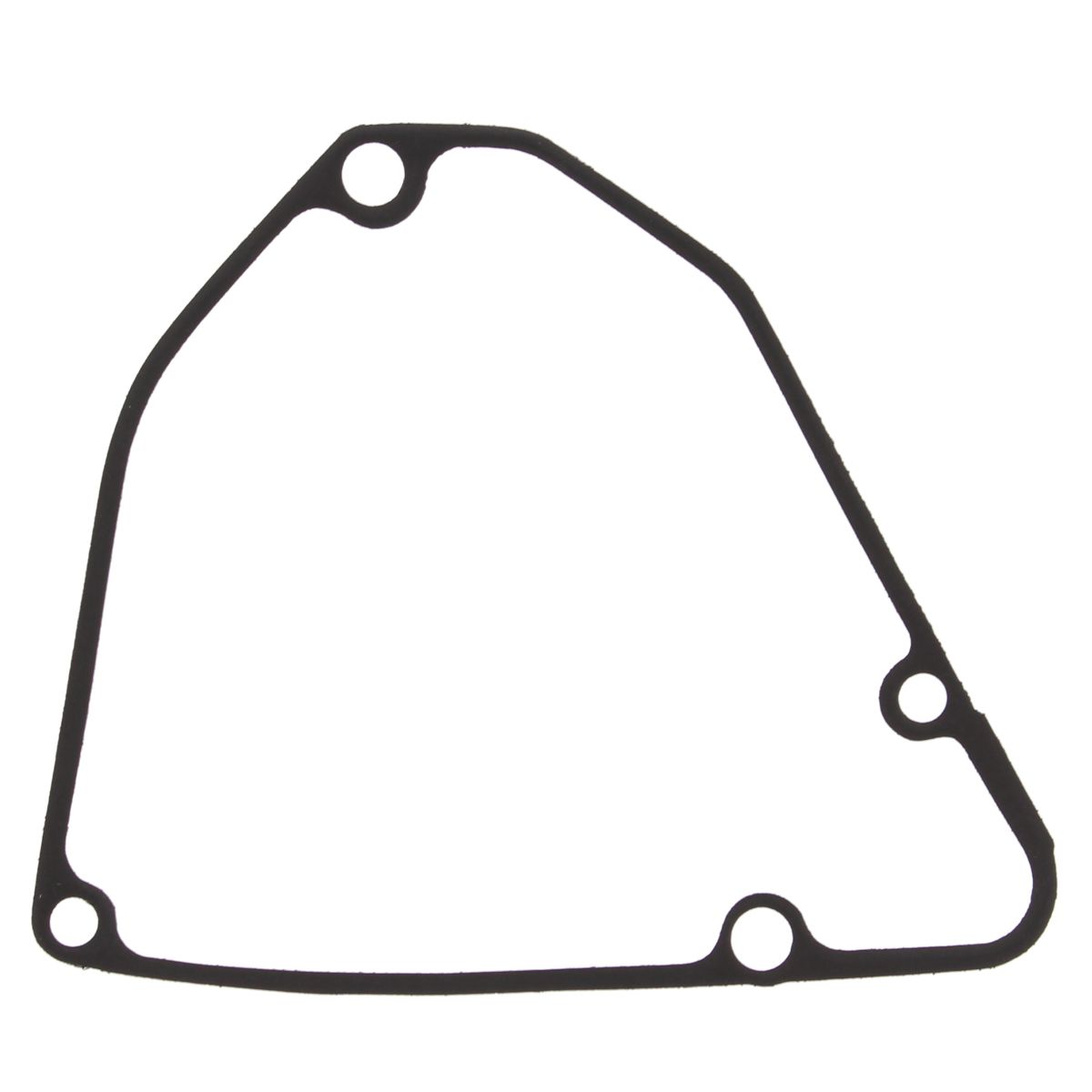 Ignition cover gasket WINDEROSA ICG 816589