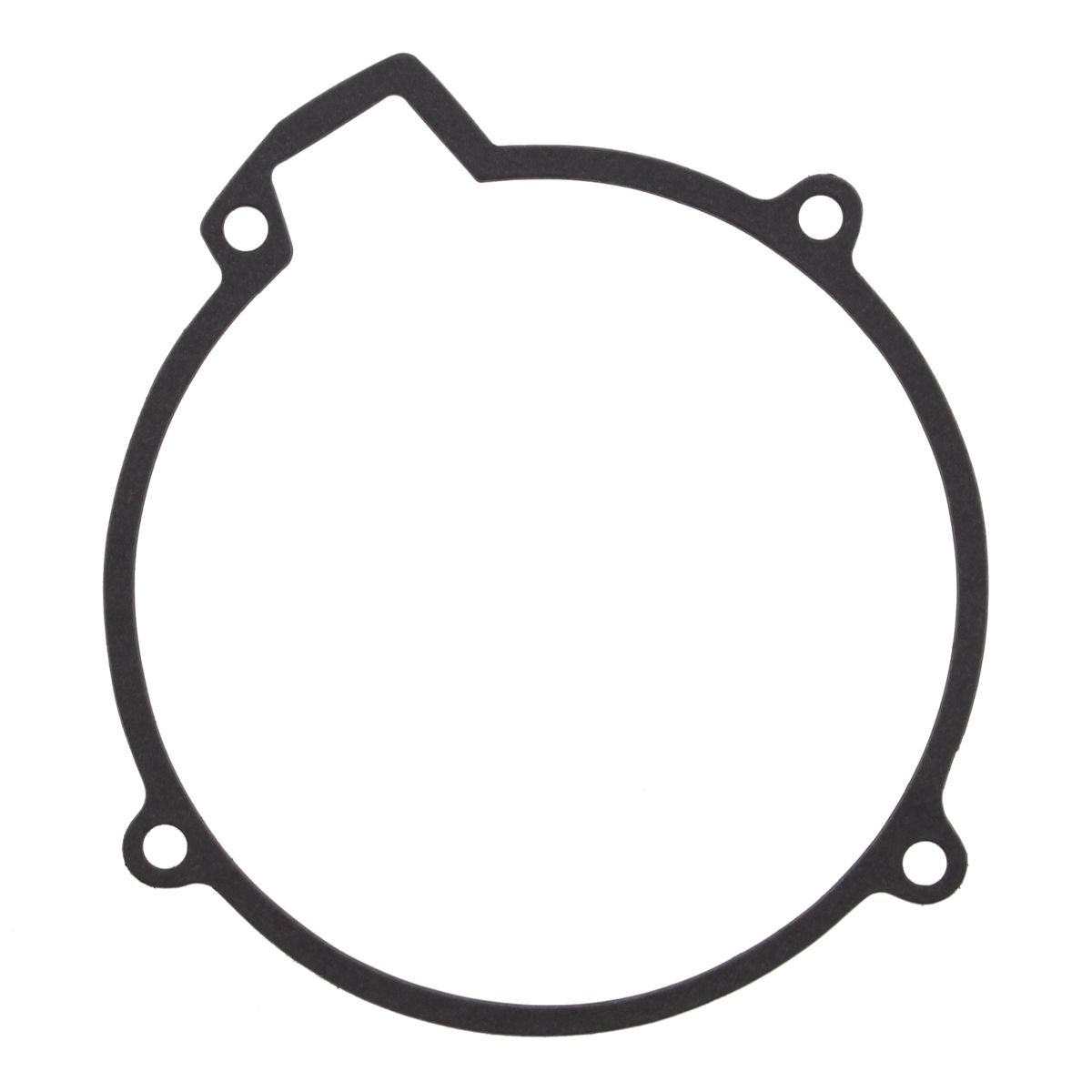 Ignition cover gasket WINDEROSA 816613