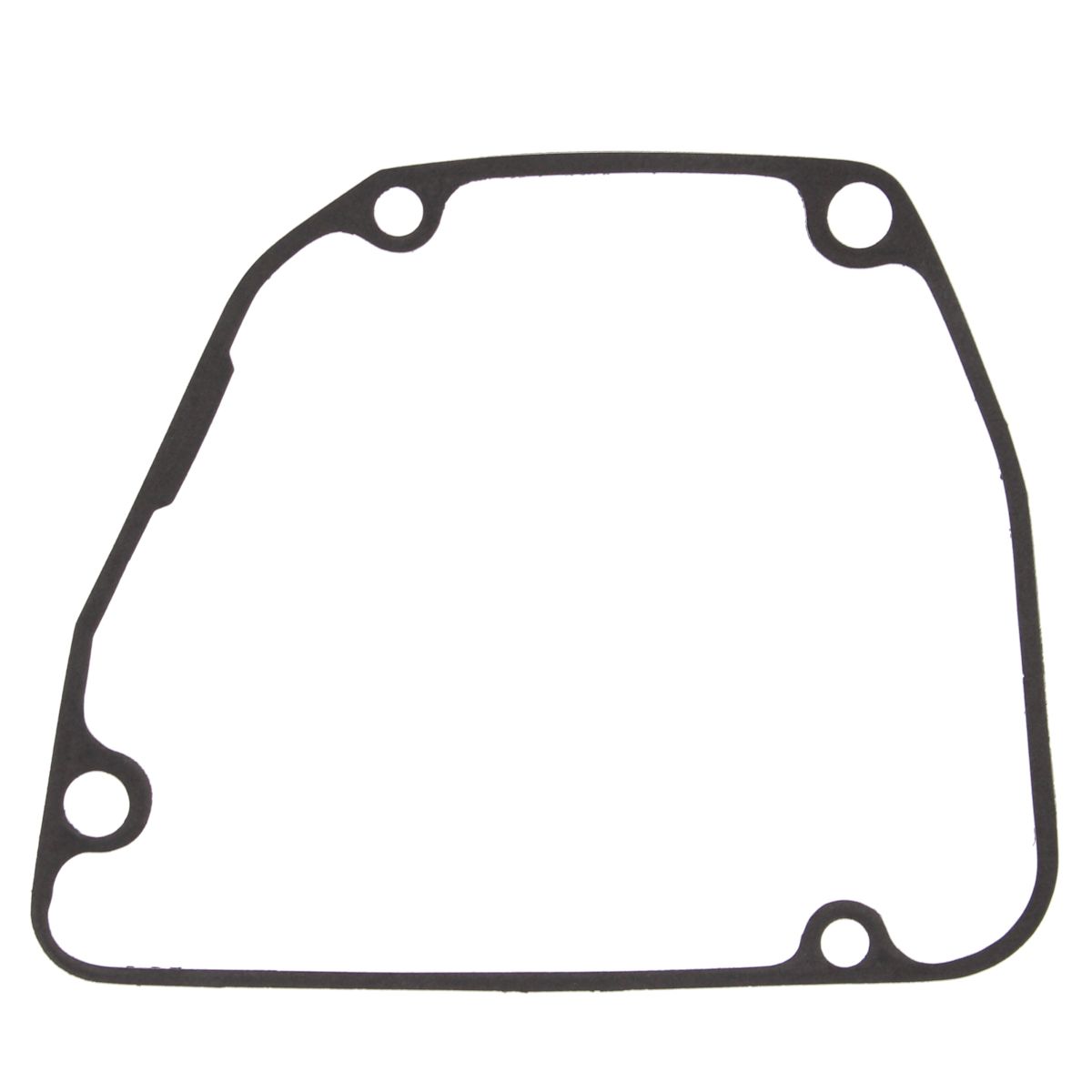 Ignition cover gasket WINDEROSA 816676