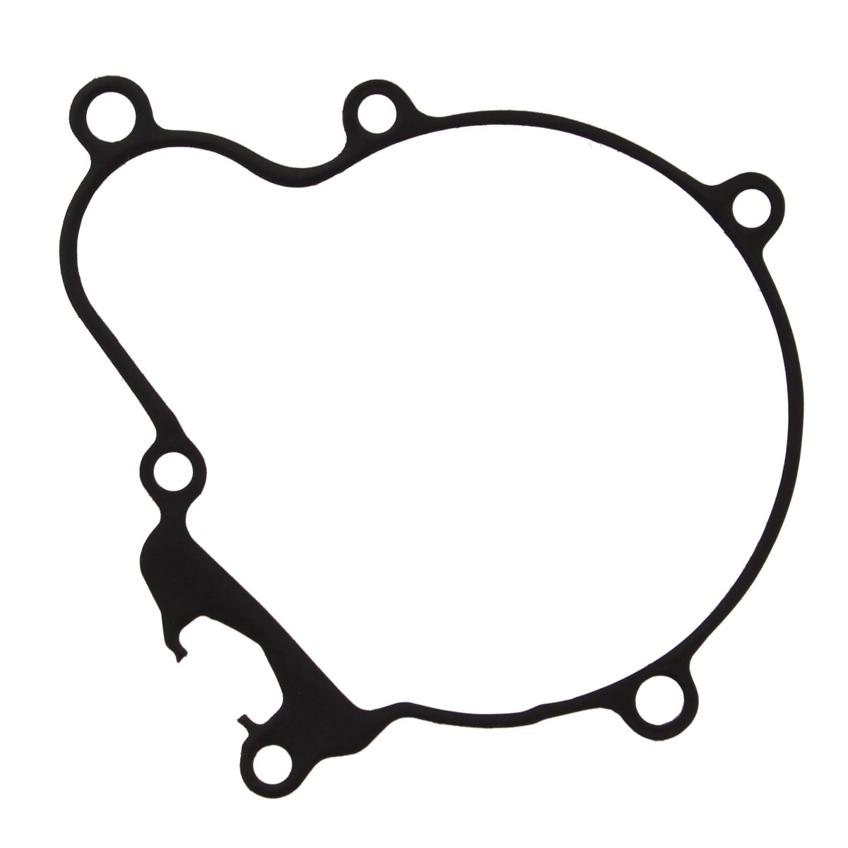 Ignition cover gasket WINDEROSA 816692