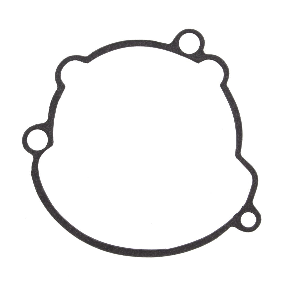 Ignition cover gasket WINDEROSA 816706