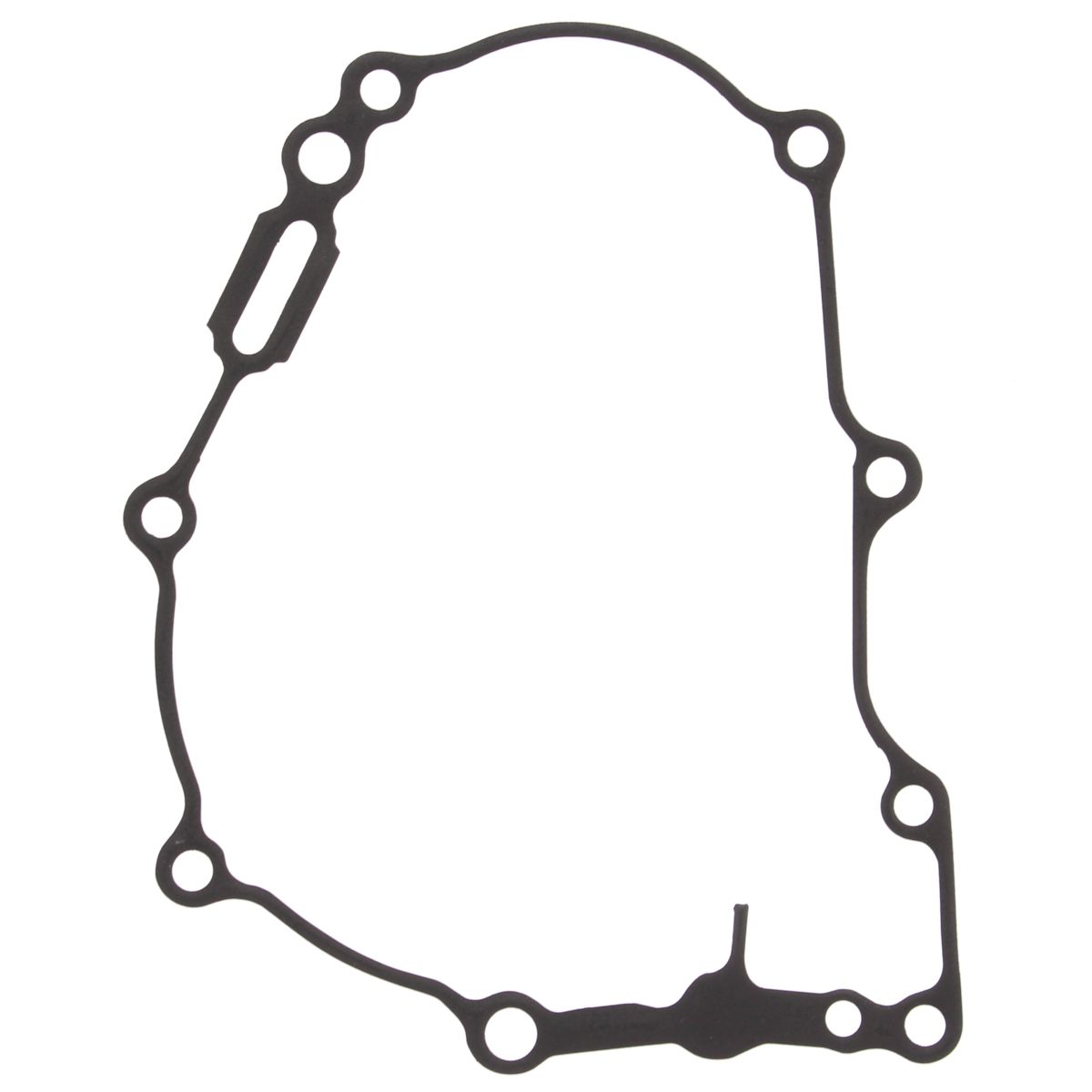 Ignition cover gasket WINDEROSA 816710