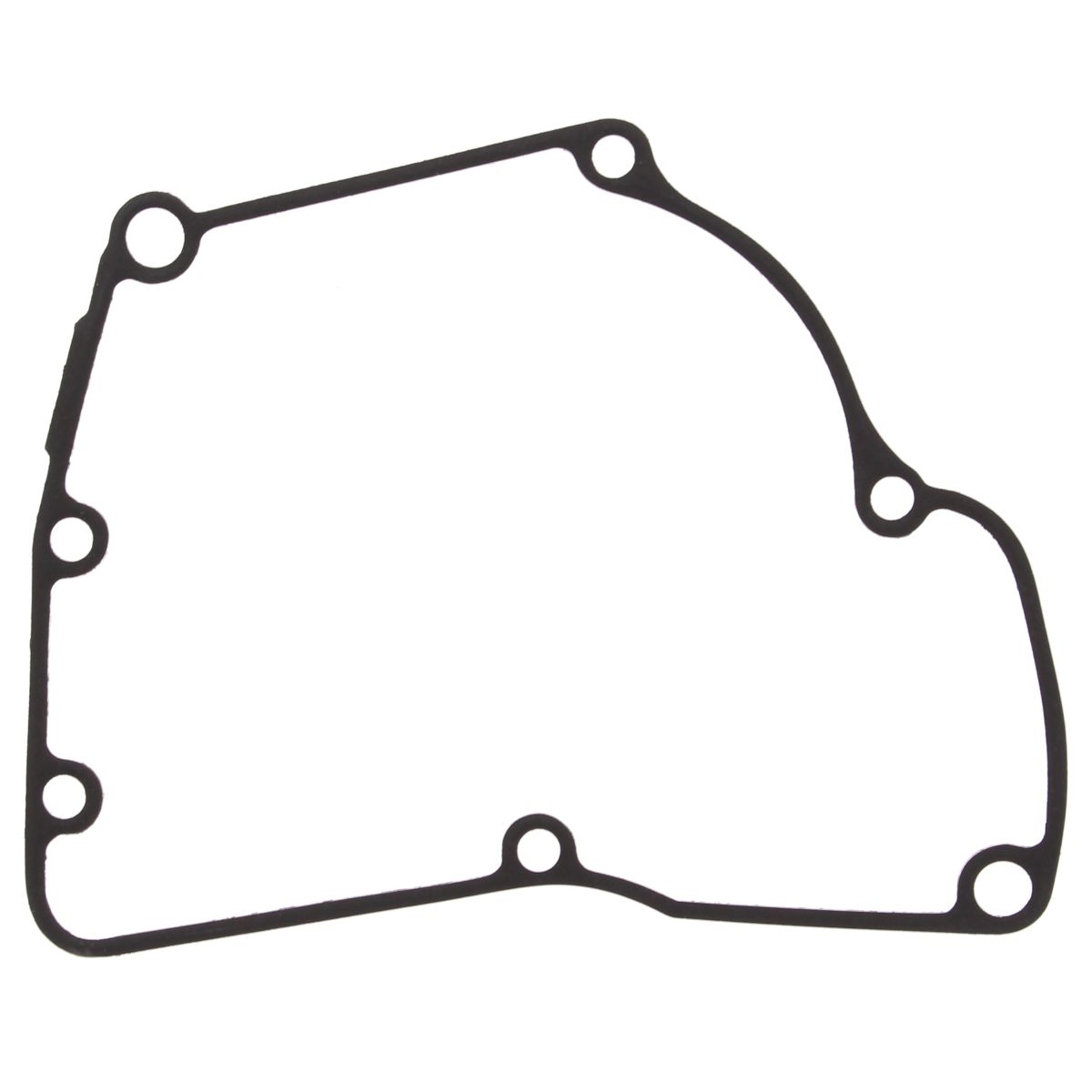 Ignition cover gasket WINDEROSA 816721