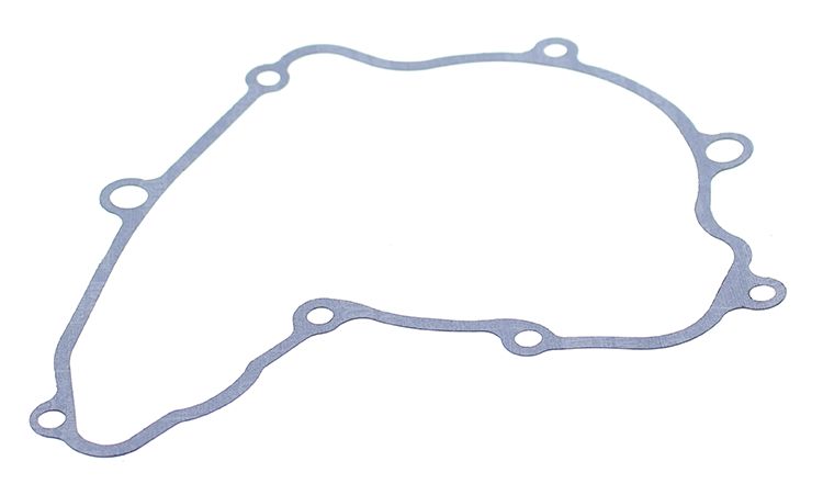 Ignition cover gasket WINDEROSA 816748