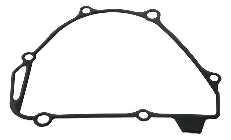 Ignition cover gasket WINDEROSA 816749