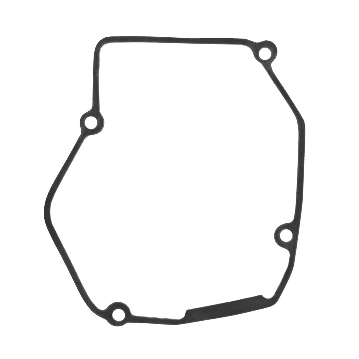 Ignition cover gasket WINDEROSA 817244
