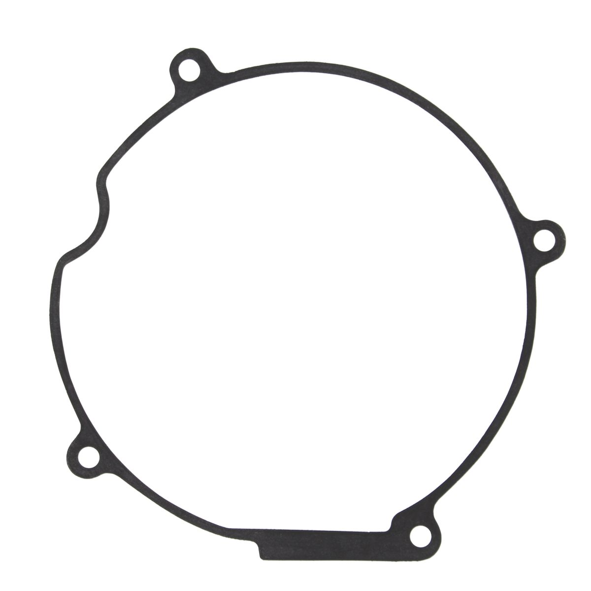 Ignition cover gasket WINDEROSA 817266