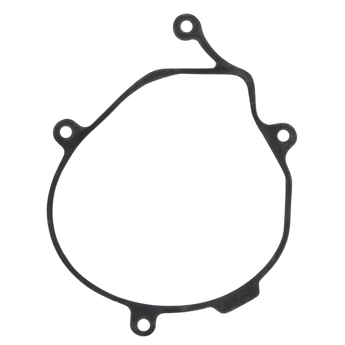 Ignition cover gasket WINDEROSA 817268