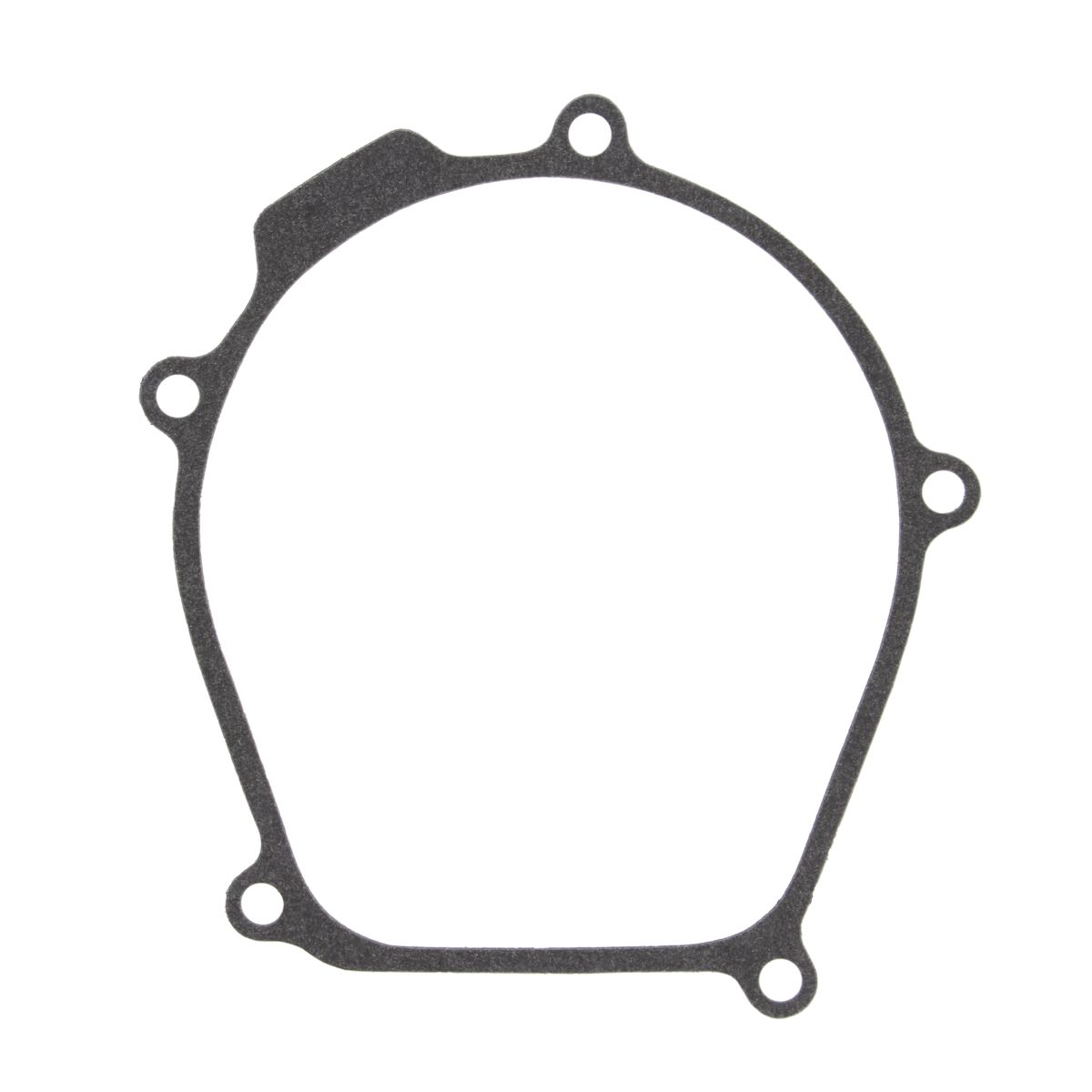 Ignition cover gasket WINDEROSA 817481
