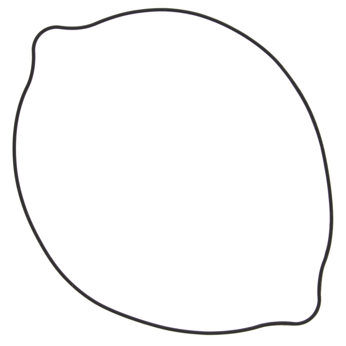 Clutch cover gasket WINDEROSA 817521 outer side