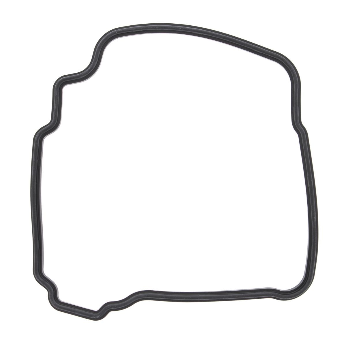 Valve cover gasket WINDEROSA 817867