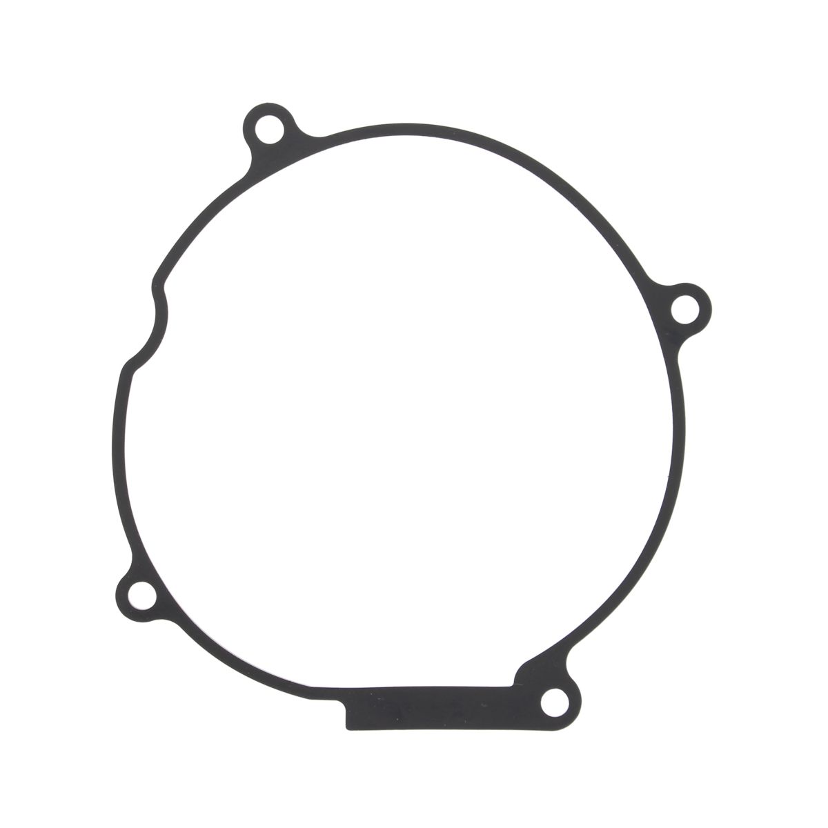 Ignition cover gasket WINDEROSA 817946
