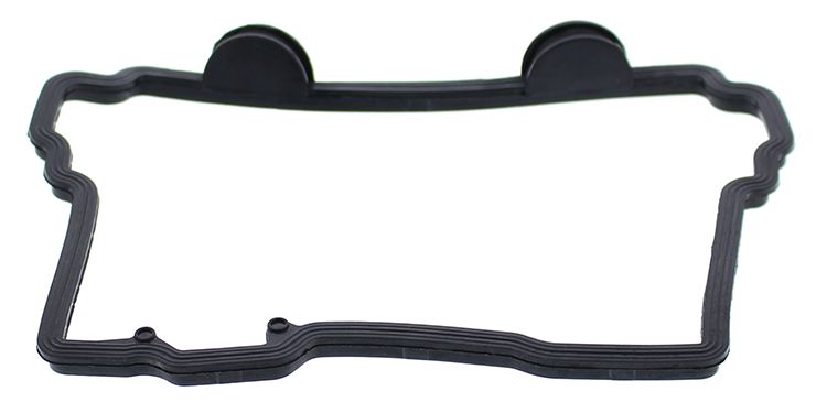 Valve cover gasket WINDEROSA 819049
