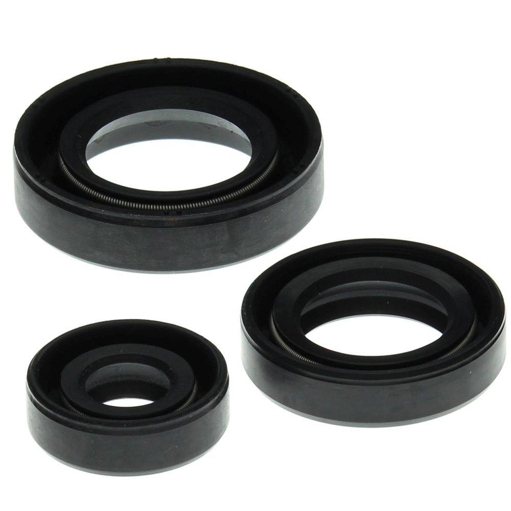Engine Oil Seal Kit WINDEROSA 822199