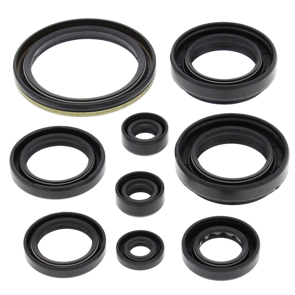 Engine Oil Seal Kit WINDEROSA EOSK 822259