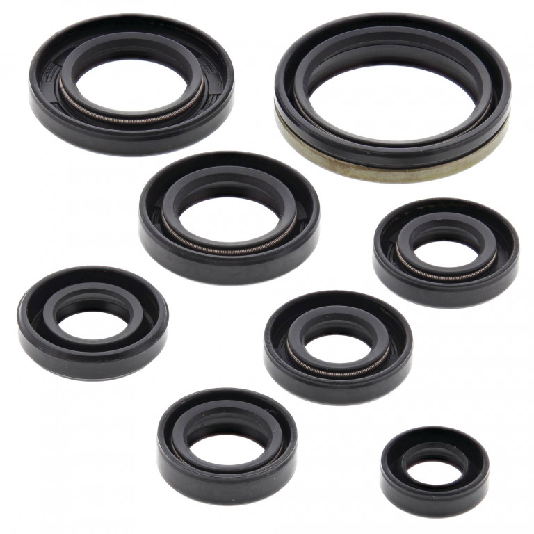 Engine Oil Seal Kit WINDEROSA 822303