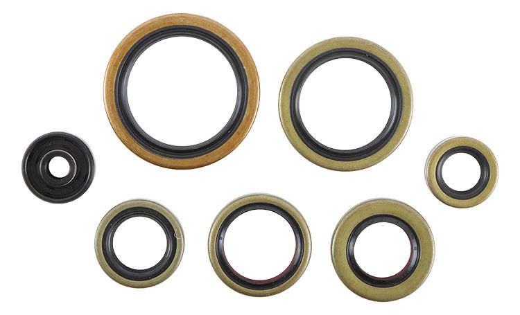 Engine Oil Seal Kit WINDEROSA EOSK 822976