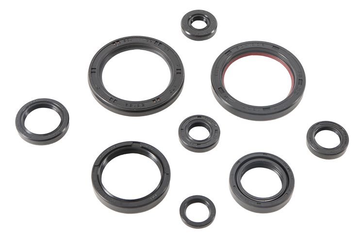 Engine Oil Seal Kit WINDEROSA 822989