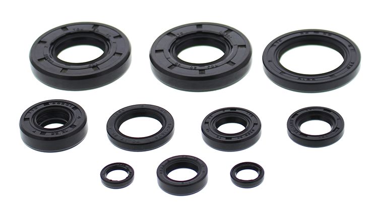 Engine Oil Seal Kit WINDEROSA EOSK 822993