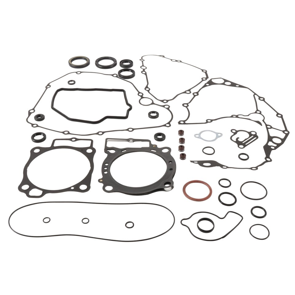 Complete Gasket Kit with Oil Seals WINDEROSA CGKOS 8110012