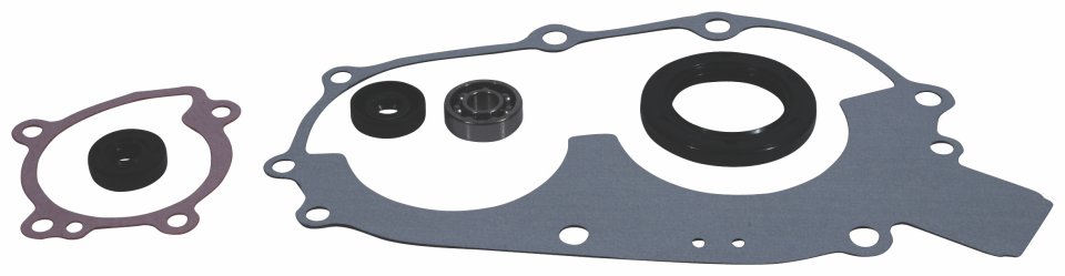 Water Pump Rebuild Kit WINDEROSA 821808