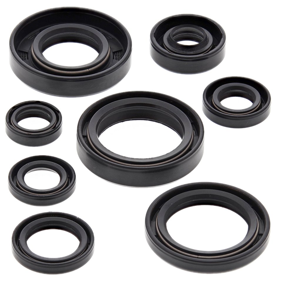 Engine Oil Seal Kit WINDEROSA 822173