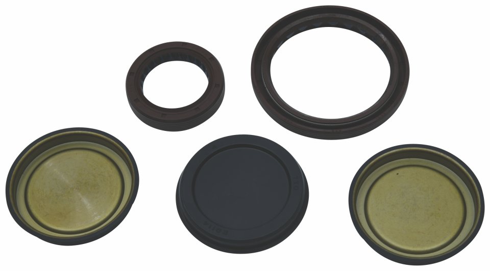 Engine Oil Seal Kit WINDEROSA 822189