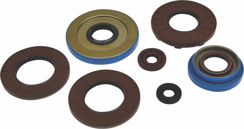 Engine Oil Seal Kit WINDEROSA 822375