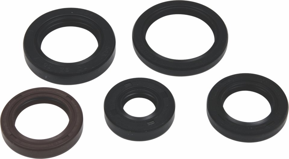 Engine Oil Seal Kit WINDEROSA EOSK 822394