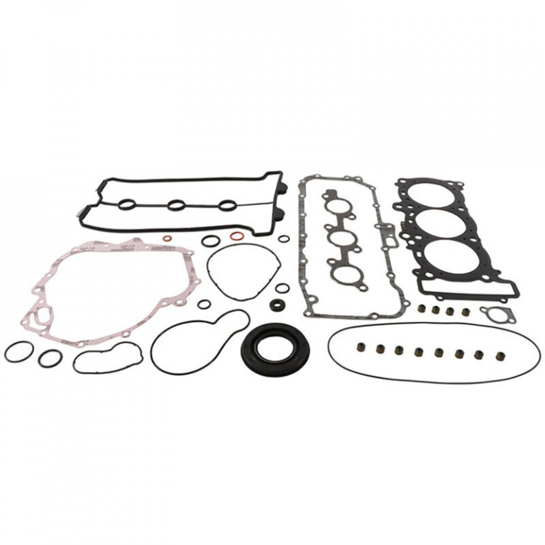 Complete Gasket Kit with Oil Seals WINDEROSA 711319