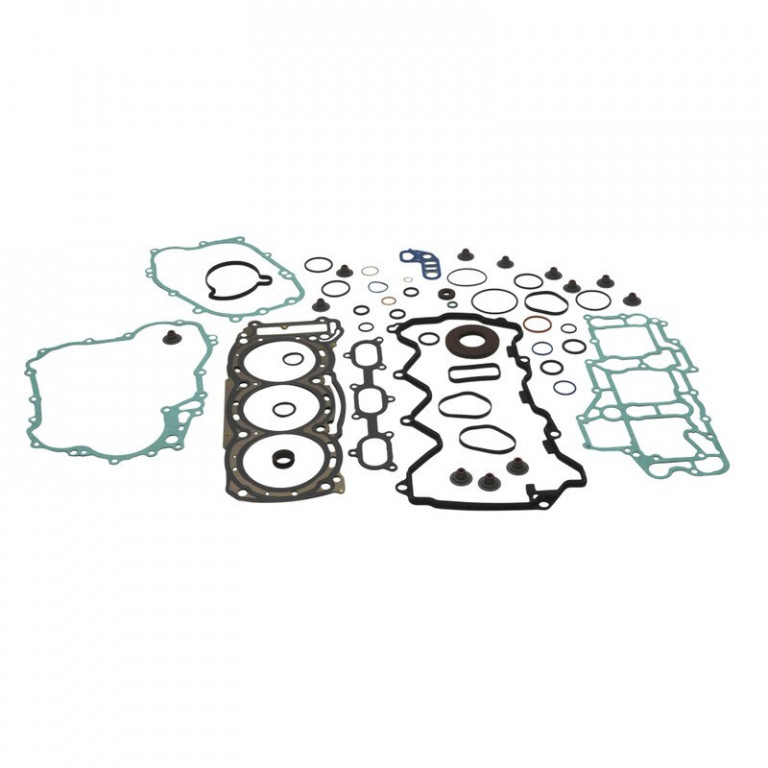 Complete Gasket Kit with Oil Seals WINDEROSA 711325