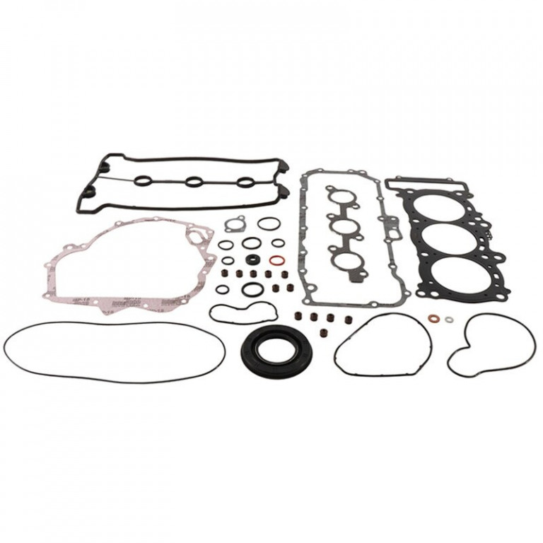 Complete Gasket Kit with Oil Seals WINDEROSA 711326