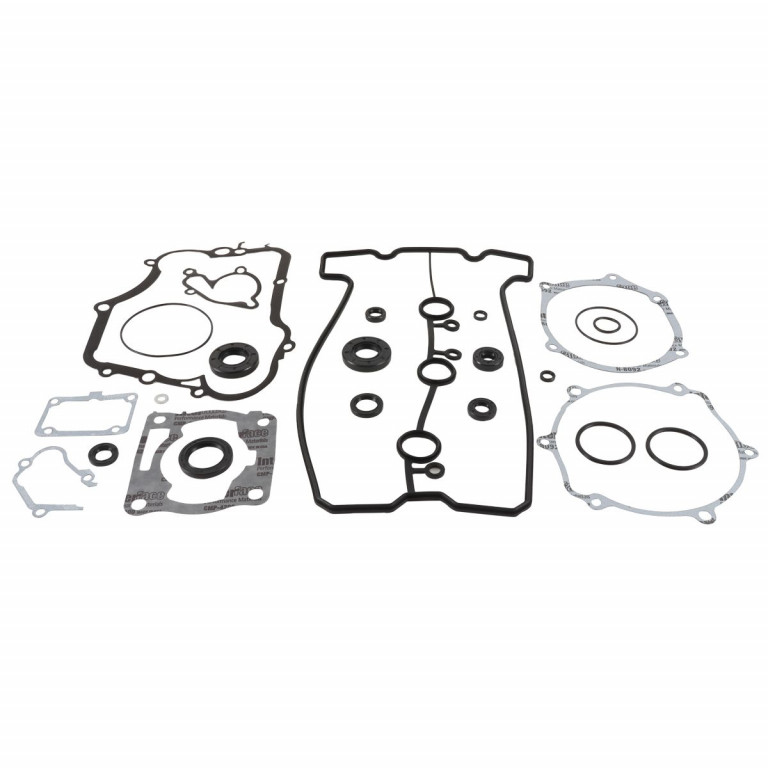 Complete Gasket Kit with Oil Seals WINDEROSA 8110008