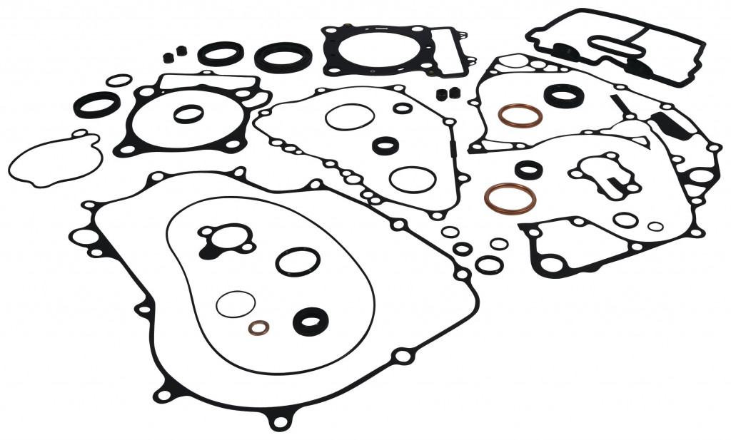 Complete Gasket Kit with Oil Seals WINDEROSA 8110030